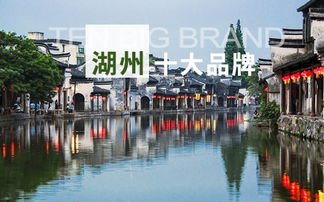 湖州十大品牌 湖州企業(yè)名錄 湖州品牌大全